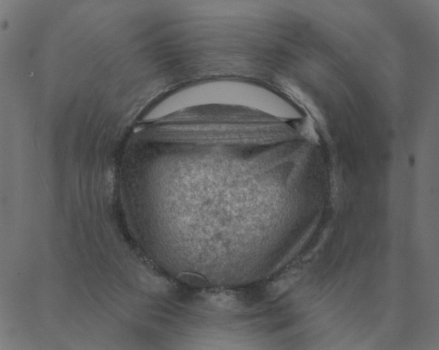 X0000087380113200705181252