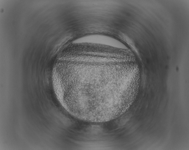 X0000087380114200705181252