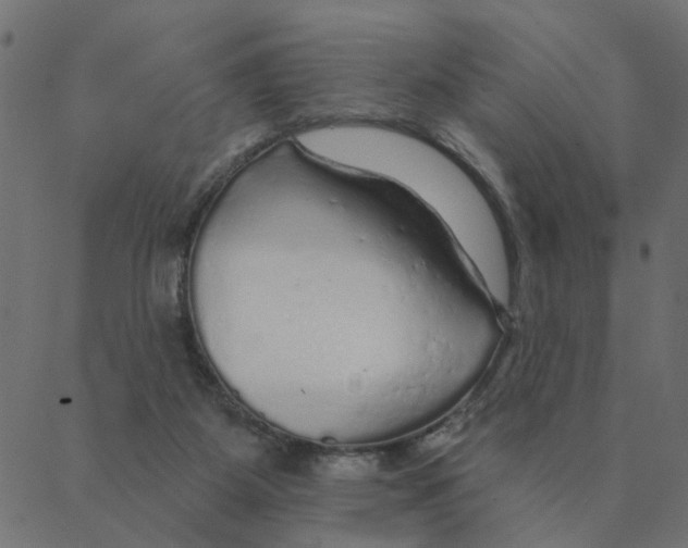 X0000087380115200705181252