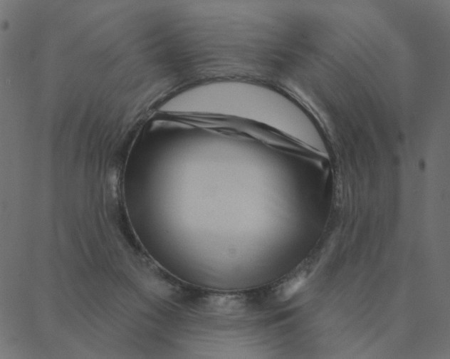 X0000087380117200705181252