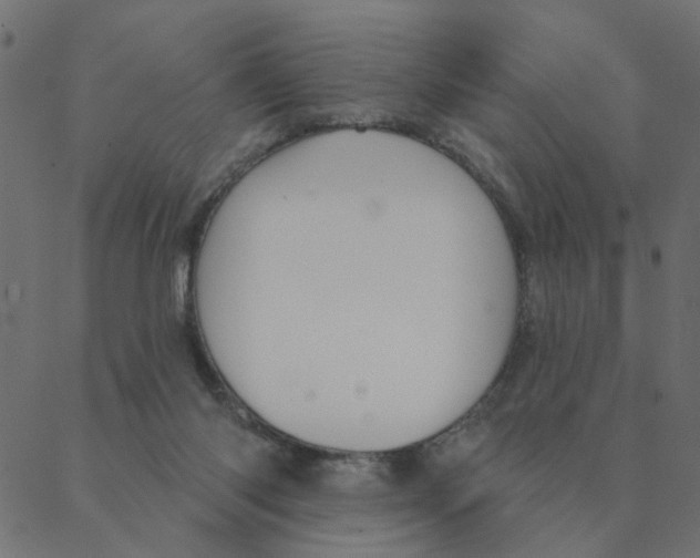 X0000087380118200705181252