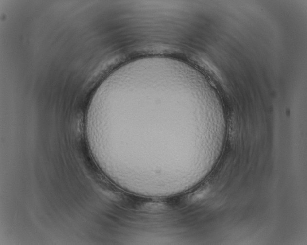 X0000087380119200705181252