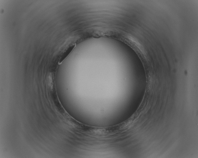 X0000087380121200705181252