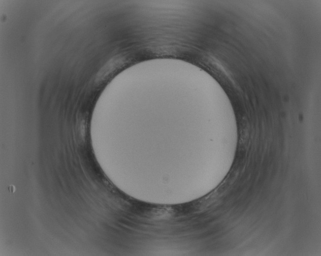 X0000087380124200705181252