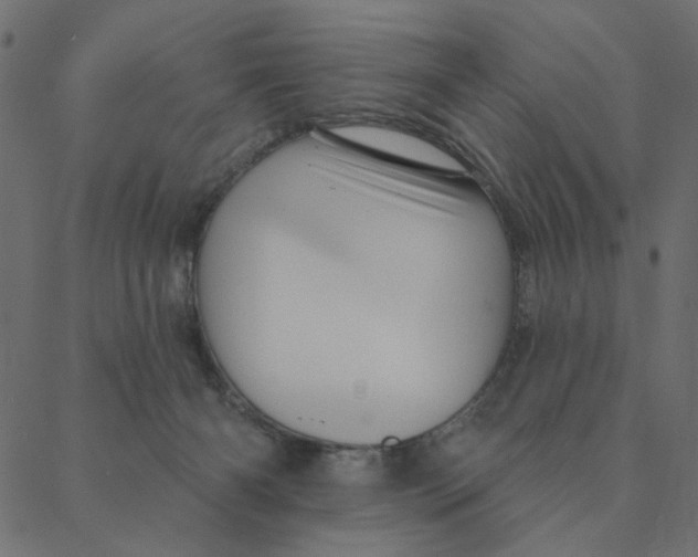 X0000087380126200705181252