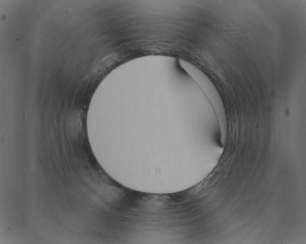 X0000087380128200705181252