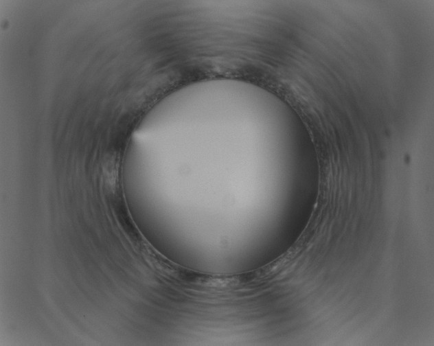 X0000087380129200705181252