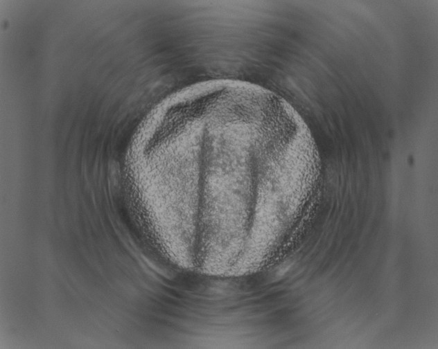 X0000087380130200705181252