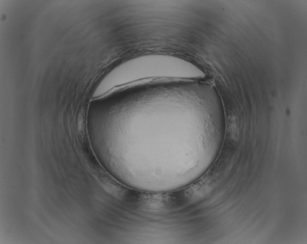 X0000087380131200705181252