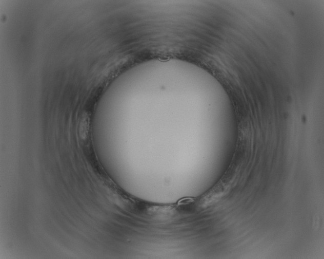 X0000087380133200705181252