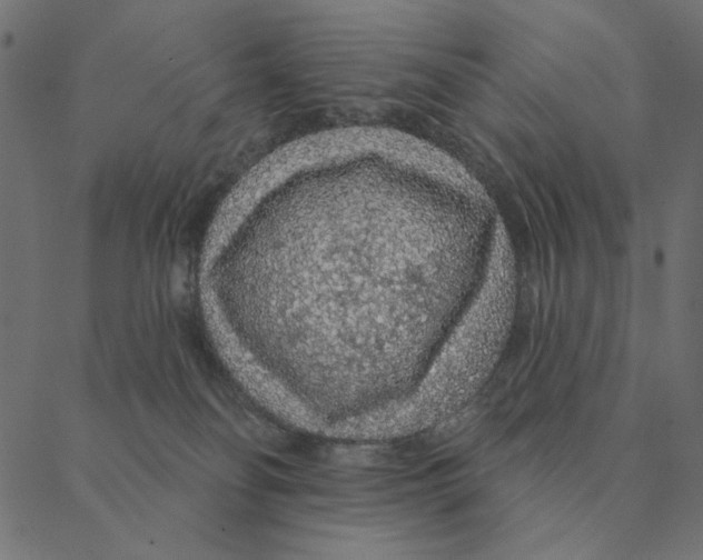 X0000087380134200705181252