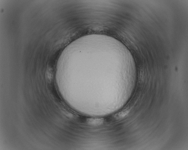 X0000087380135200705181252