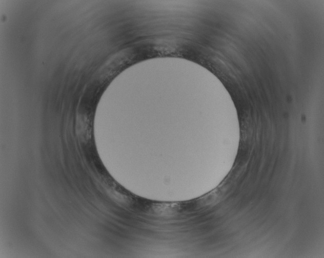 X0000087380136200705181252