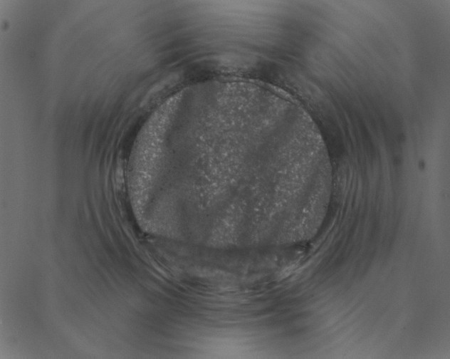 X0000087380137200705181252