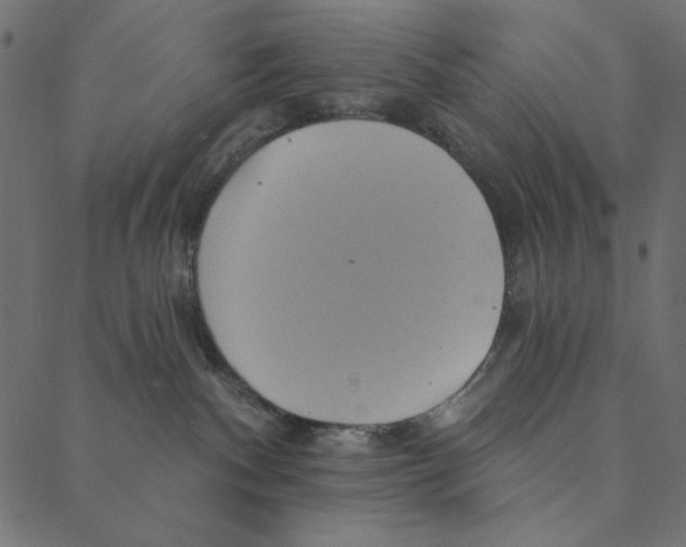 X0000087380140200705181251