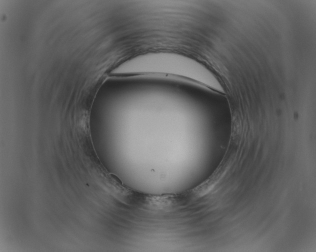 X0000087380141200705181251