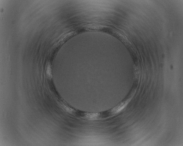 X0000087380143200705181251