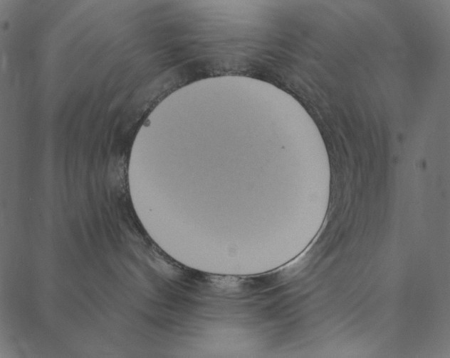 X0000087380144200705181251