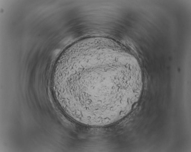 X0000087380145200705181251