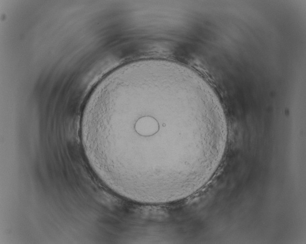 X0000087380146200705181251