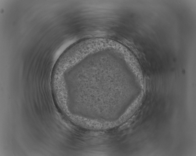 X0000087380147200705181251