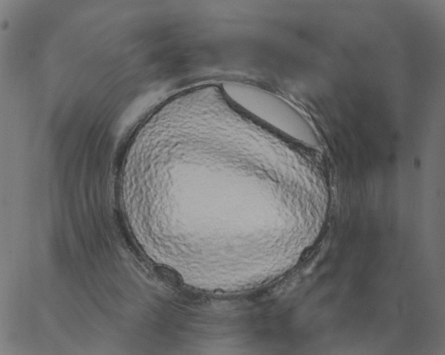 X0000087380149200705181251