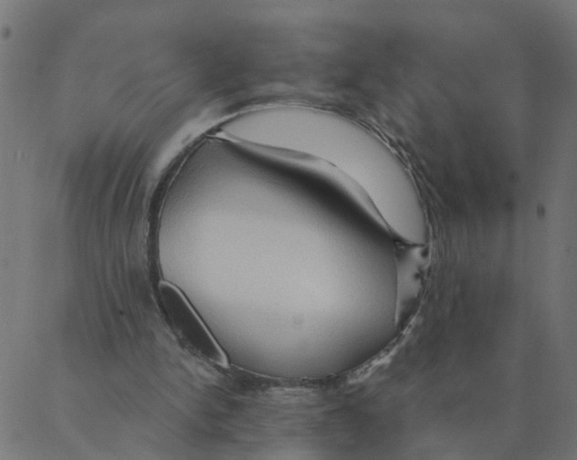 X0000087380150200705181251