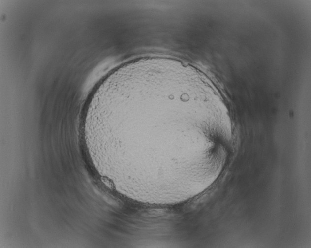 X0000087380151200705181251