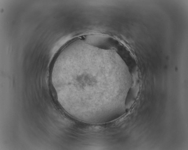 X0000087380152200705181251