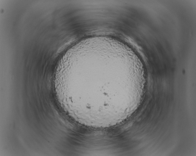 X0000087380153200705181251