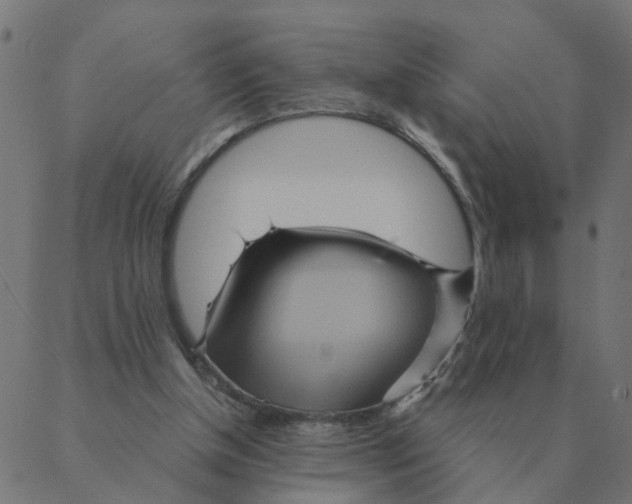 X0000087380154200705181251