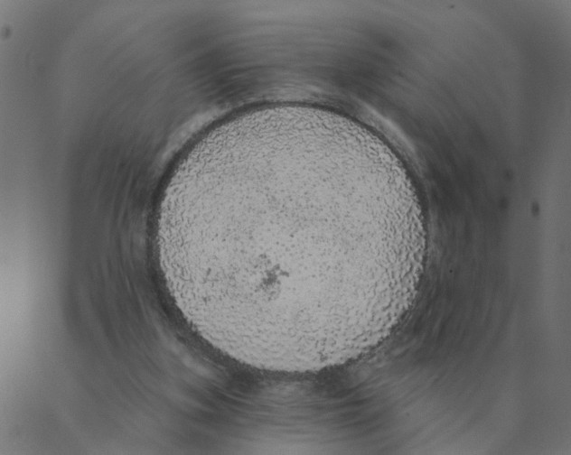 X0000087380155200705181251