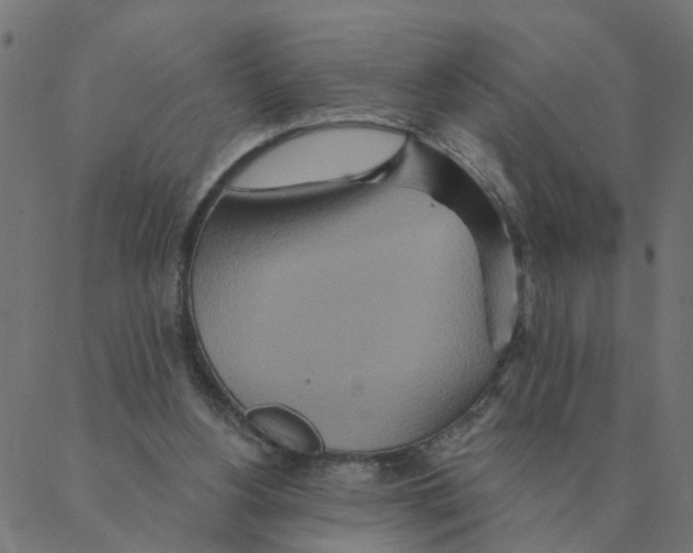 X0000087380156200705181251