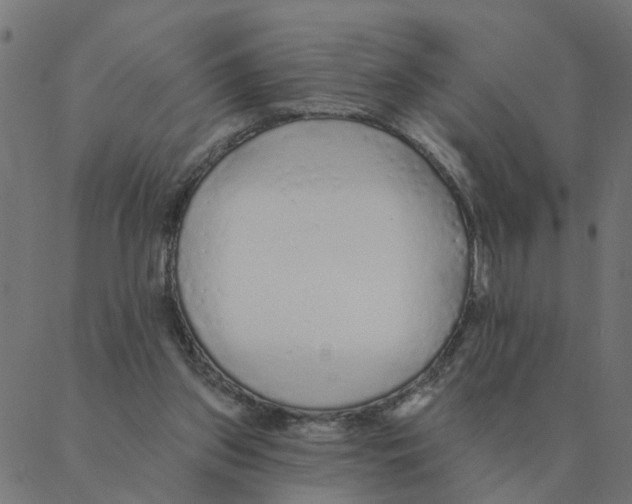 X0000087380157200705181251