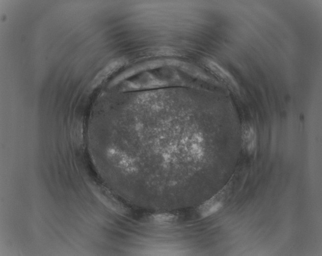 X0000087380158200705181251