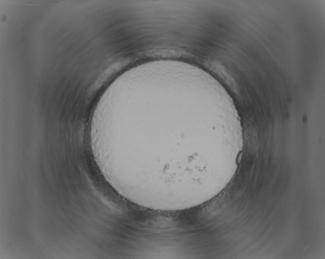 X0000087380159200705181251