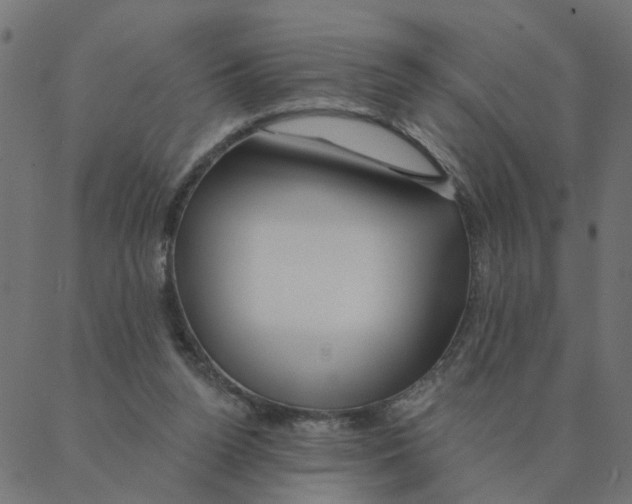 X0000087380160200705181251