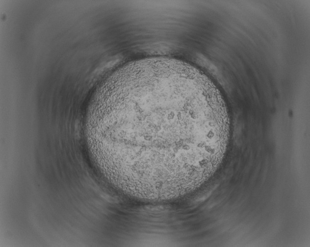 X0000087380161200705181251