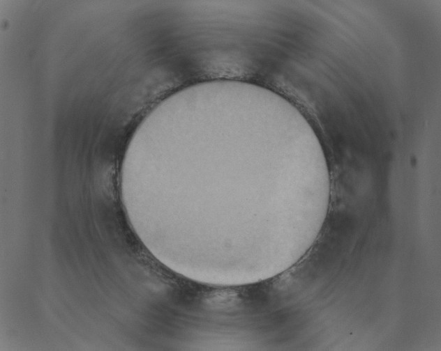 X0000087380162200705181251