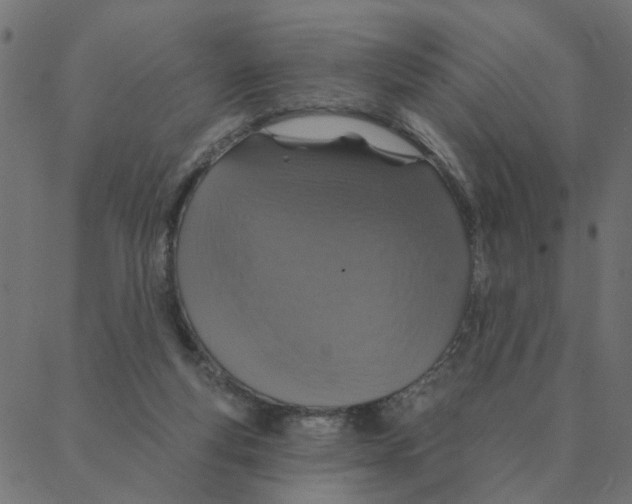 X0000087380163200705181251