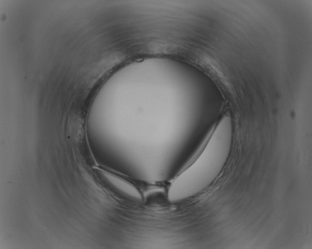 X0000087380164200705181251