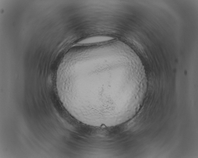 X0000087380166200705181251