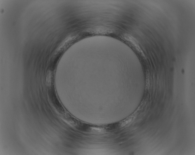 X0000087380167200705181251