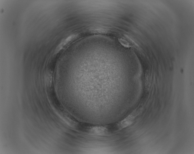 X0000087380168200705181251