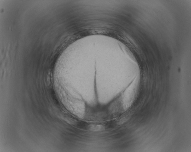 X0000087380169200705181251