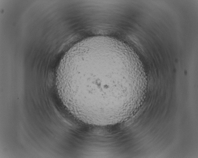 X0000087380171200705181251