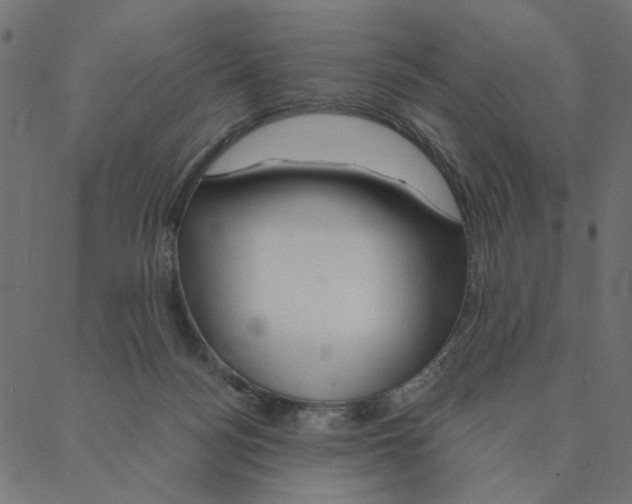 X0000087380172200705181251