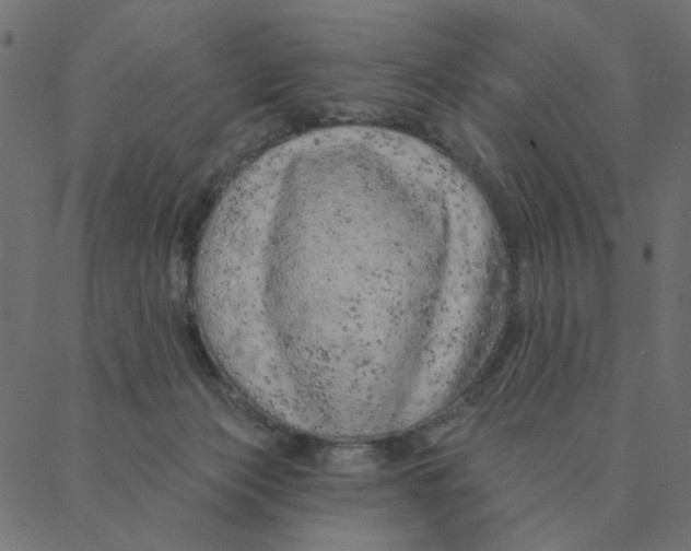 X0000087380173200705181251