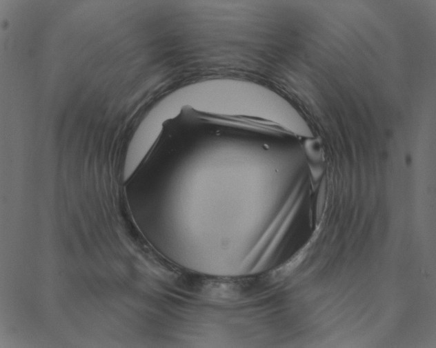 X0000087380174200705181251