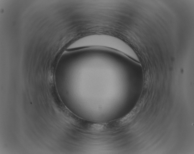 X0000087380176200705181251